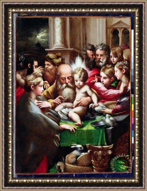 Francesco Mazzola Parmigianino The Circumcision Framed Print