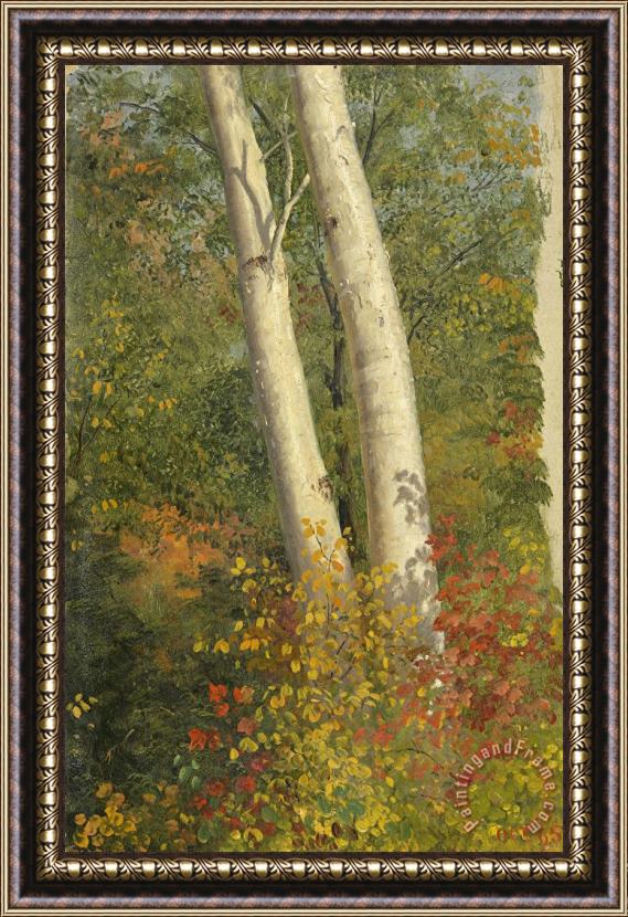 Frederic Edwin Church Birch Trees in Autumn Framed Painting