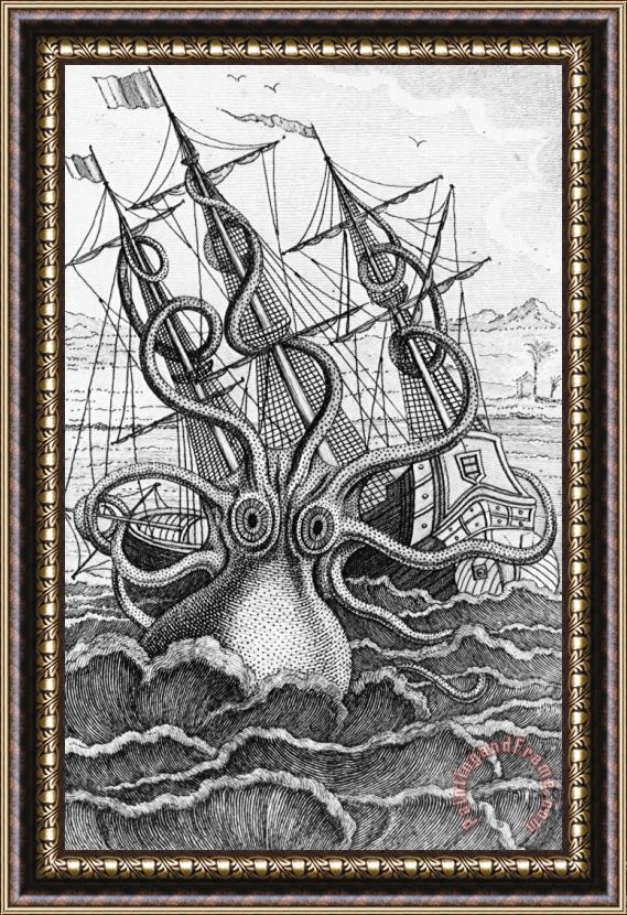 French School Giant Octopus Illustration From L Histoire Naturelle Generale Et Particuliere Des Mollusques Framed Painting