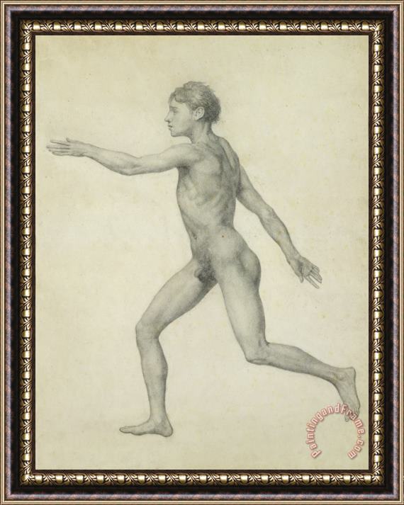 George Stubbs The Entire Human Figure From The Left Lateral View Framed Painting