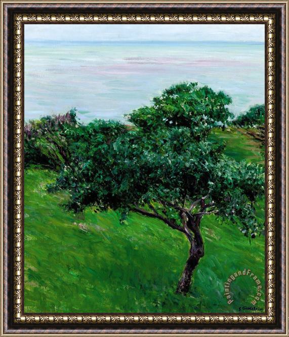 Gustave Caillebotte Apple Trees By The Sea Trouville Framed Painting