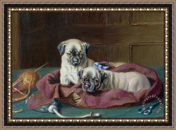  Horatio Henry Couldery Pug Puppies in a Basket Framed Print