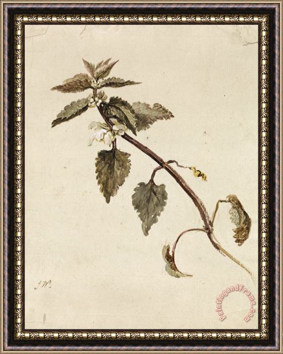 James Ward A Foliated Branch Framed Painting
