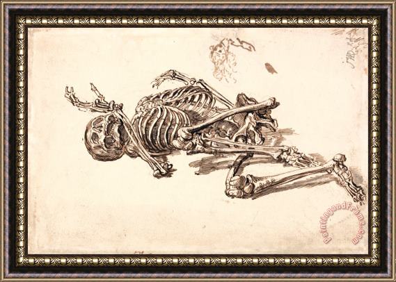 James Ward A Human Skeleton Framed Painting