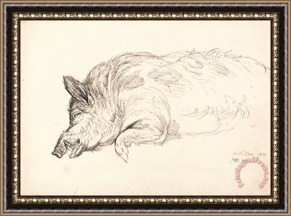 James Ward A Wild Boar, Asleep Or Dead Framed Painting