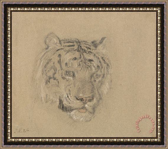 James Ward Head of a Tiger Framed Print