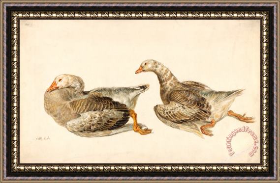 James Ward Studies of Geese Framed Print
