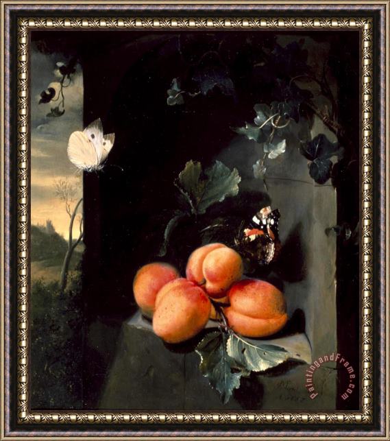 Jan Mortel Still Life with Apricotes And Butterflies Framed Painting