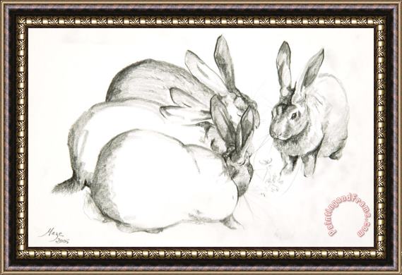 Jeanne Maze Rabbits Framed Print
