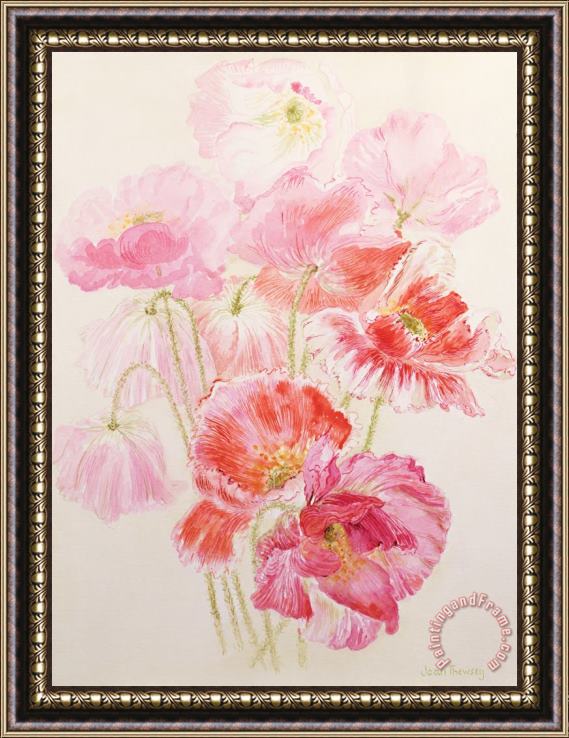 Joan Thewsey Shirley Poppies Framed Painting