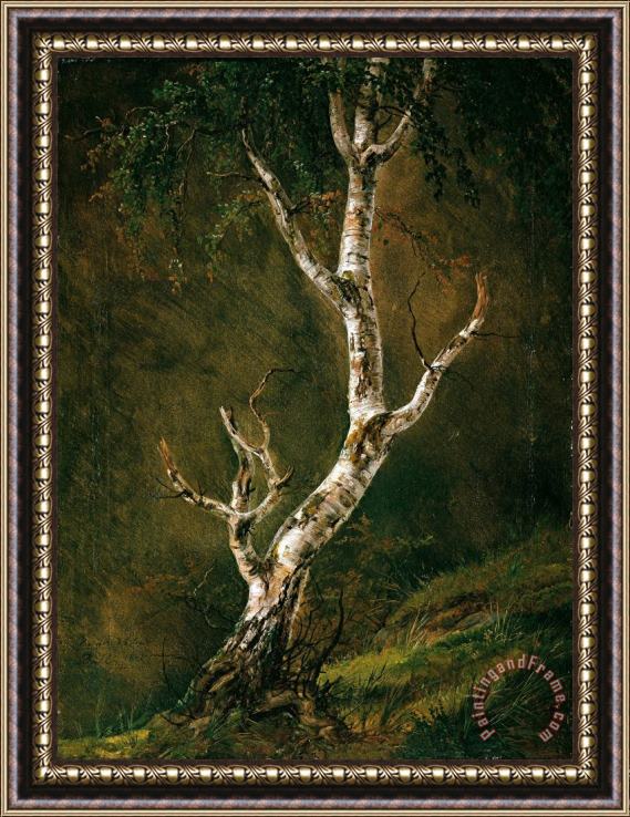 Johan Christian Dahl Study of a Birch Tree Framed Print