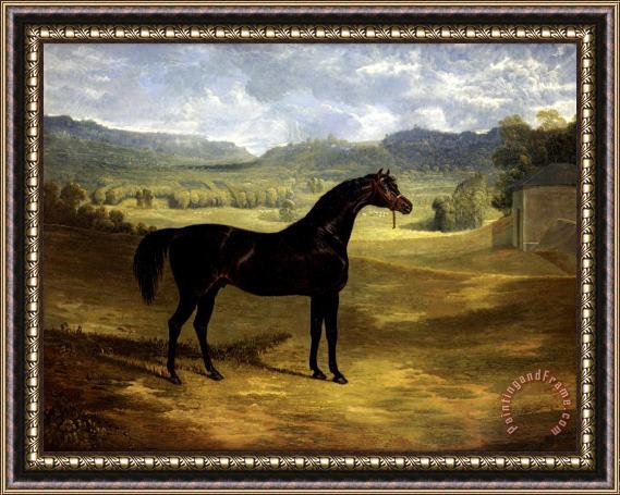 John Frederick Herring Jack Spigot, a Dark Bay Racehorse in a Paddock at Bolton Hall Framed Painting