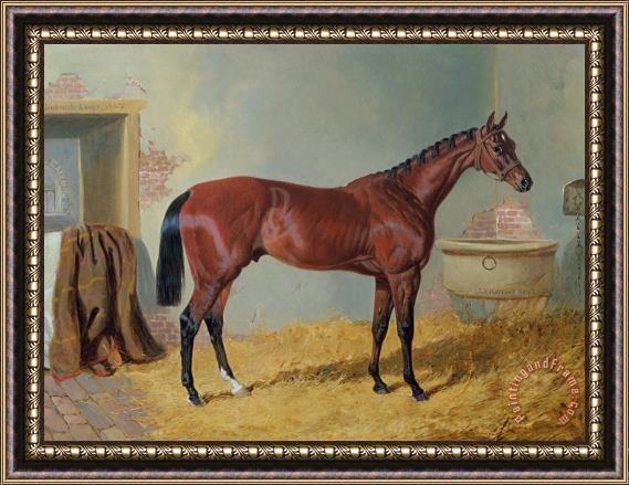 John Frederick Herring Snr Horse in a Stable Framed Print