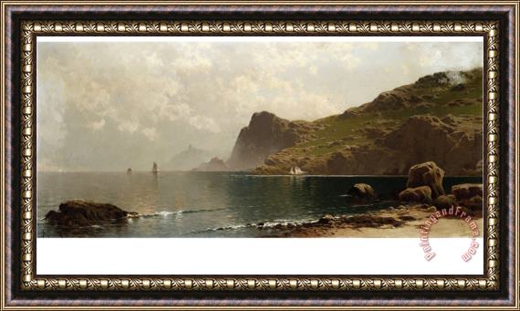 John James Audubon Mist Rising Off The Coast Framed Painting