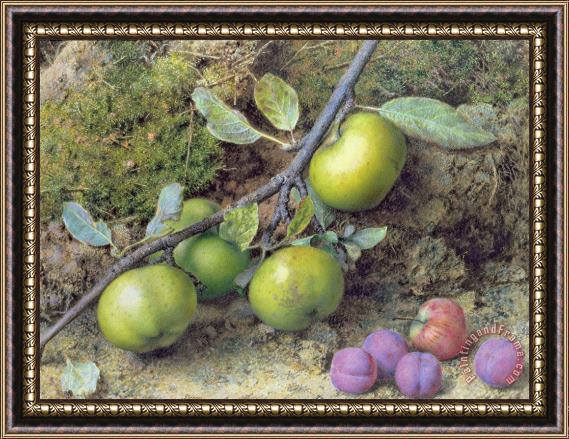 John Sherrin Apples and Plums on a Mossy Bank Framed Painting