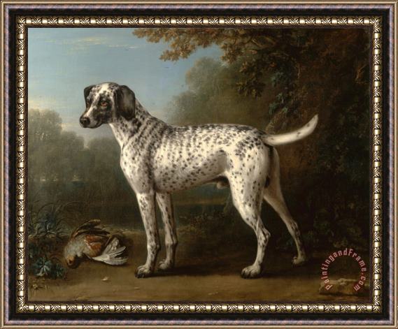 John Wootton A Grey Spotted Hound Framed Painting