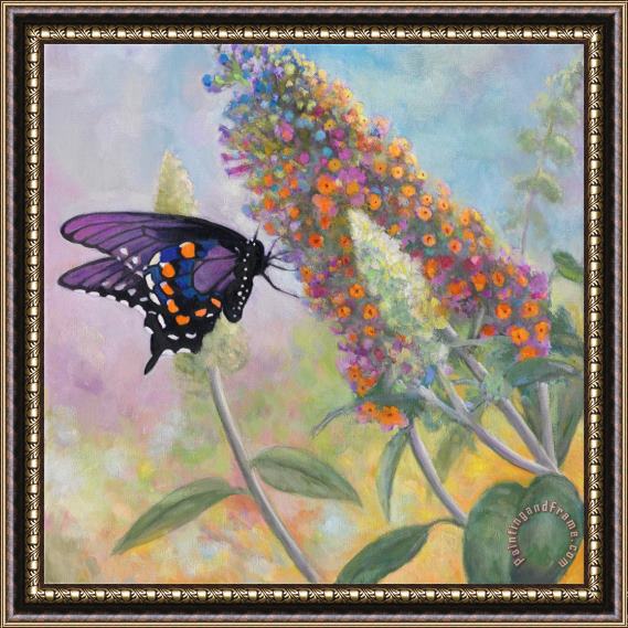 John Zaccheo Admiral Butterfly Framed Painting