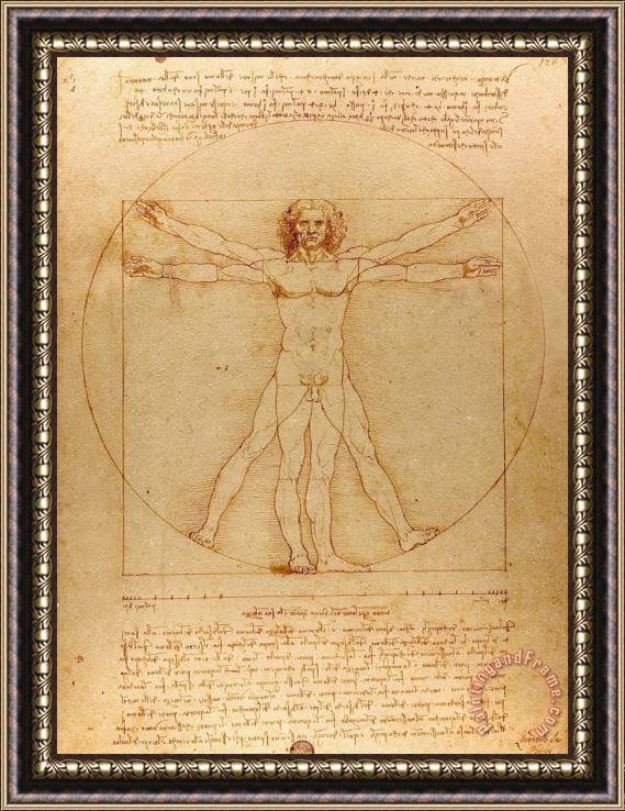 Leonardo da Vinci The Vitruvian Man Framed Painting