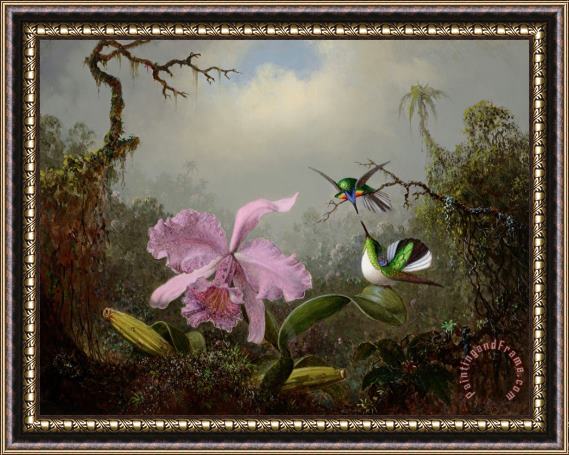Martin Johnson Heade Cattleya Orchid with Two Brazilian Hummingbirds, 1871 Framed Print