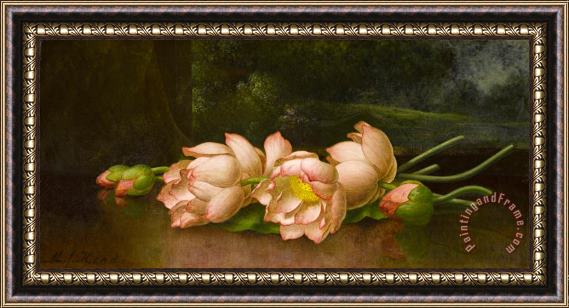 Martin Johnson Heade Lotus Flowers a Landscape Painting in The Background Framed Painting