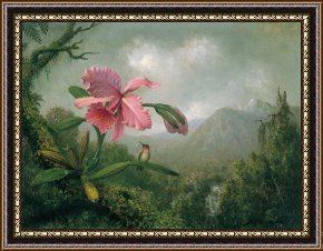 The Waterfall Framed Paintings - orchid and hummingbird near a mountain waterfall by Martin Johnson Heade