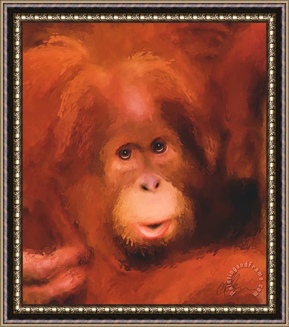 Michael Greenaway Orangutan Framed Painting