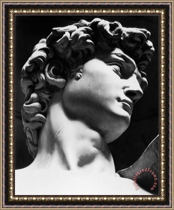 Michelangelo Buonarroti David Michelangelo Buonarroti Galleria Dell Accademia Florence Framed Painting