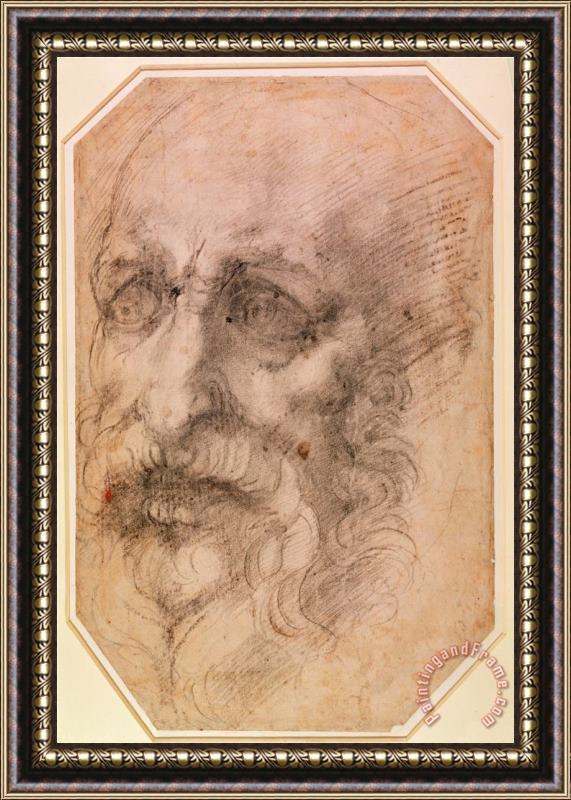 Michelangelo Buonarroti Portrait of a Bearded Man Framed Print