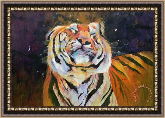 Odile Kidd Tiger - Shaking Head Framed Painting