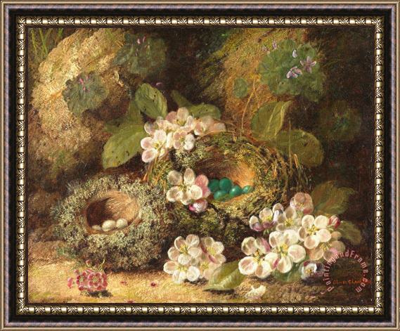 Oliver Clare Primroses and Bird's Nests on a Mossy Bank Framed Painting