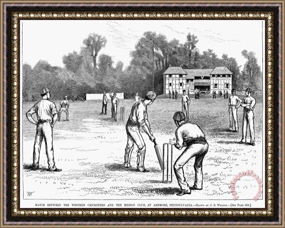 Others American Cricket, 1882 Framed Painting