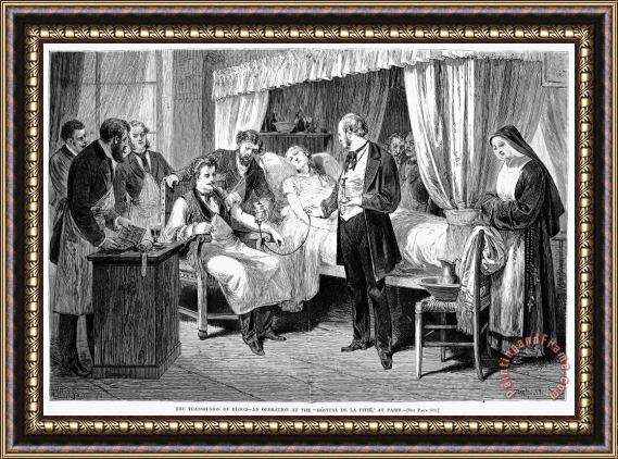 Others Blood Transfusion, 1874 Framed Print