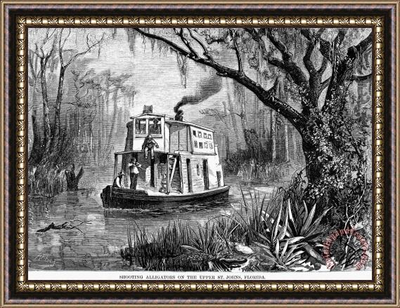 Others Florida: St. Johns River Framed Painting