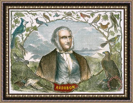 Others John James Audubon Framed Print