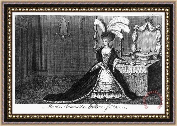 Others Marie Antoinette (1755-1793) Framed Painting