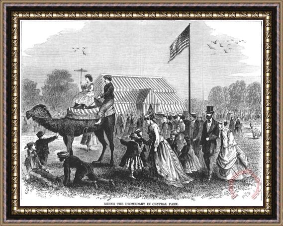 Others Nyc: Central Park, 1867 Framed Painting