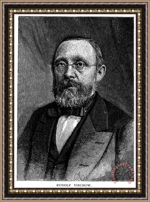 Others Rudolf Virchow (1821-1902) Framed Painting