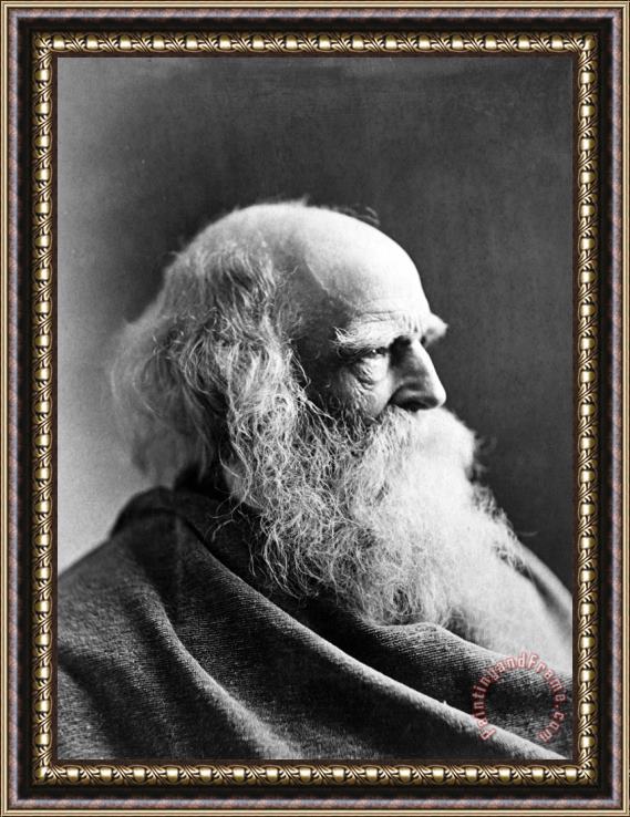 Others William Cullen Bryant Framed Print