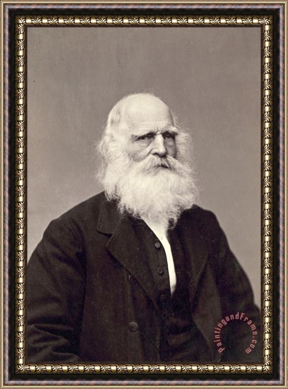 Others William Cullen Bryant Framed Print