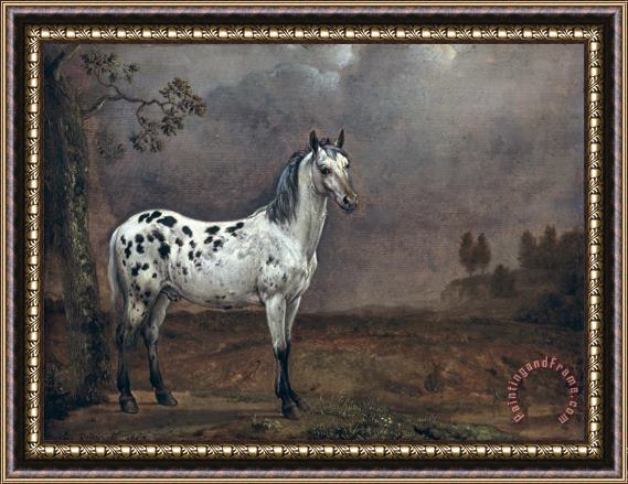 Paulus Potter The Piebald Horse Framed Painting