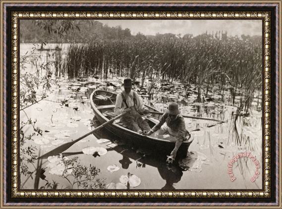 Peter Henry Emerson Gathering Waterlilies Framed Painting