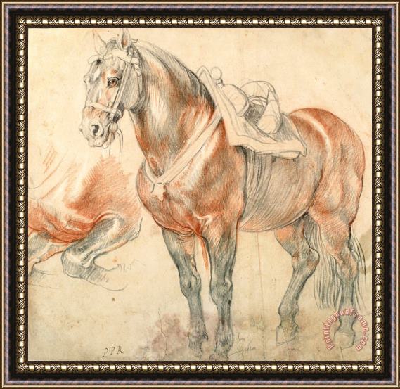 Peter Paul Rubens Saddled Horse, C. 1615 1618 Framed Painting