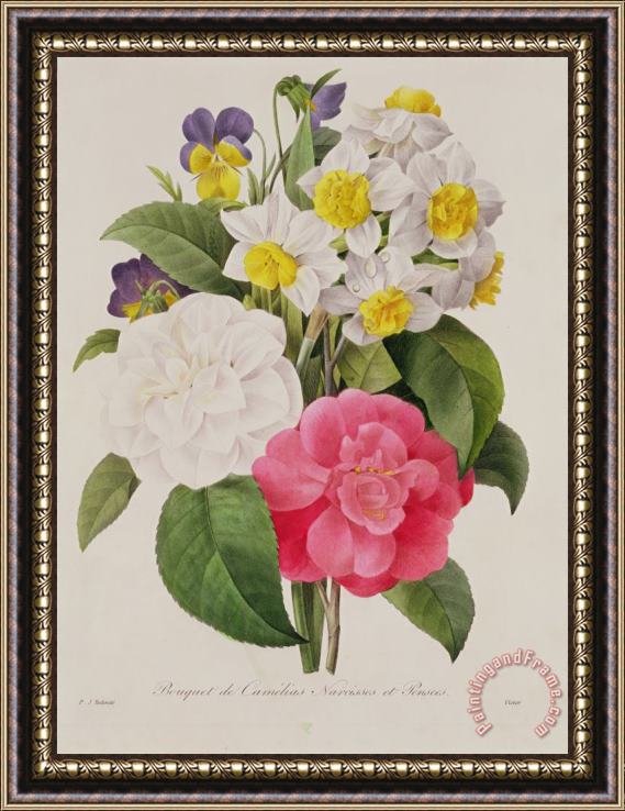 Pierre Joseph Redoute Camellias Narcissus And Pansies Framed Print