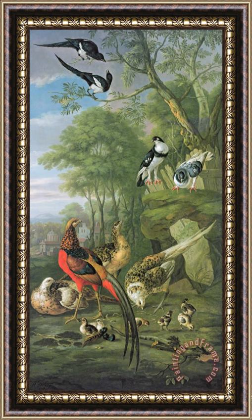 Pieter Casteels Cock Pheasant Hen Pheasant And Chicks And Other Birds In A Classical Landscape Framed Painting