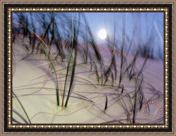 Raymond Gehman A View of a Full Moon Rising Above a Sand Dune Framed Painting