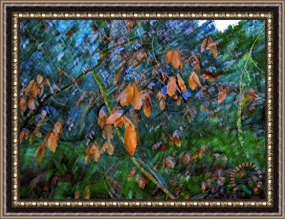 Raymond Gehman Blurred Motion Shot of Tree Branches And Leaves in Old Growth Forest Framed Painting