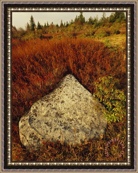 Raymond Gehman Boulder in Autumn Hued Landscape with Evergreen Trees Framed Painting