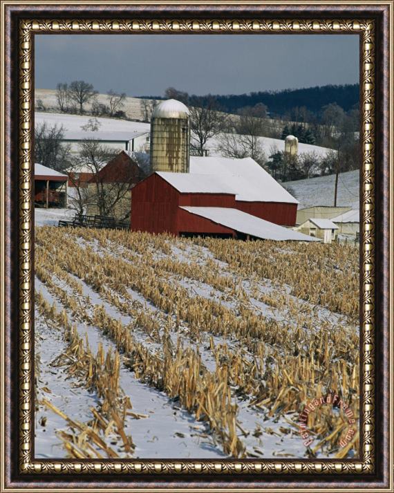 Raymond Gehman Corn Stubble And Barn in a Wintery Pennsylvania Landscape Framed Print