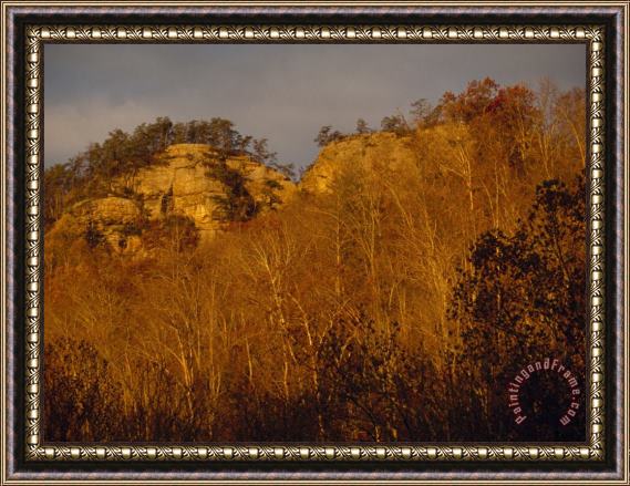 Raymond Gehman Dawn Brightens Sandstone Cliffs at Natural Bridge State Resort Park Framed Painting