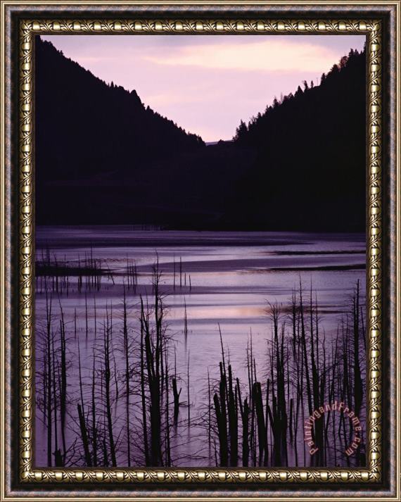 Raymond Gehman Earthquake Lake Madison River Quake Area Gallatin National Forest Framed Painting